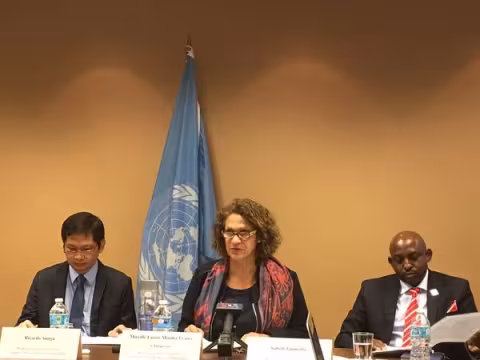 UN WGEPAD Press Release Photo